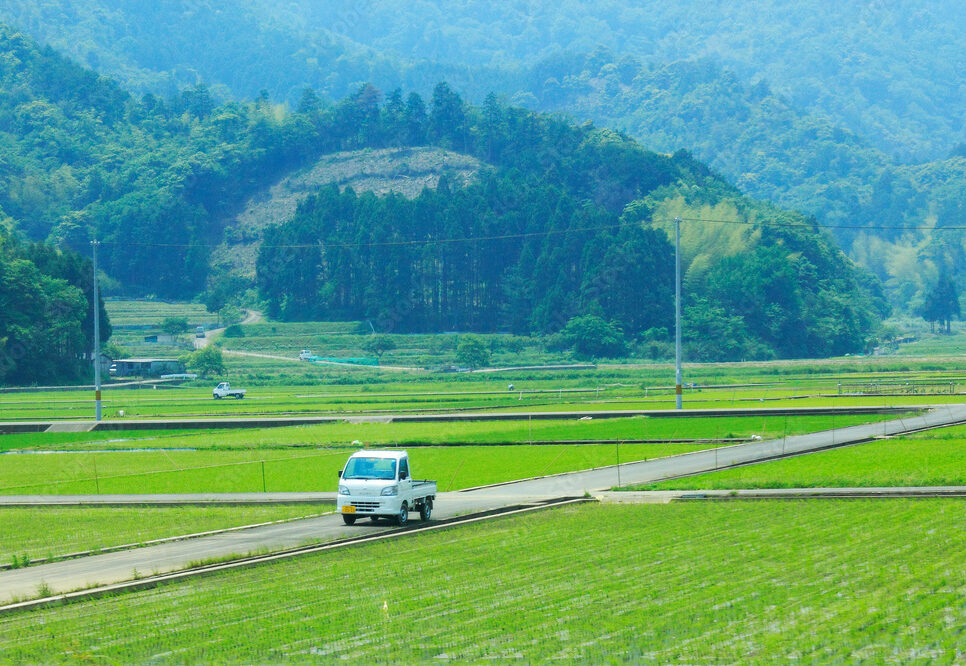 農地法許可に付随する手続き（その８）　農振除外の申出